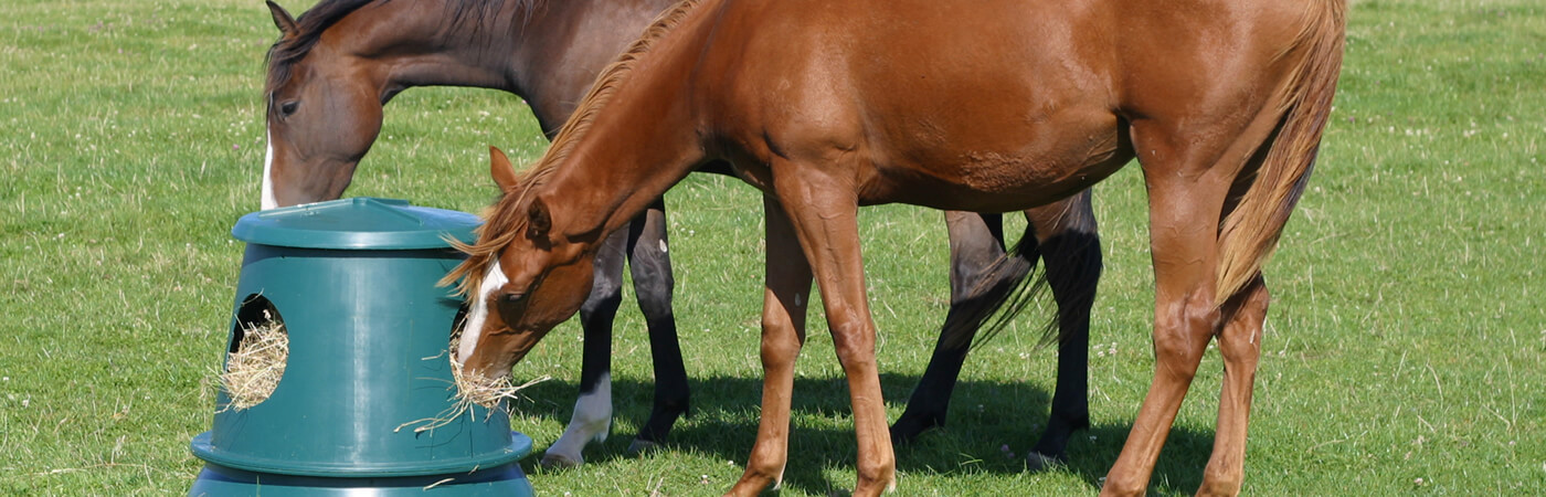 Two horses eating from a Hay Hutch hay feeder in a paddock