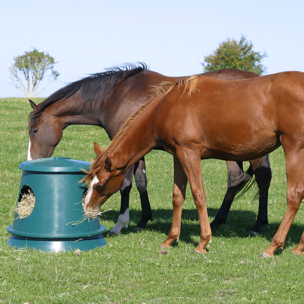 Plastic feeder for horses